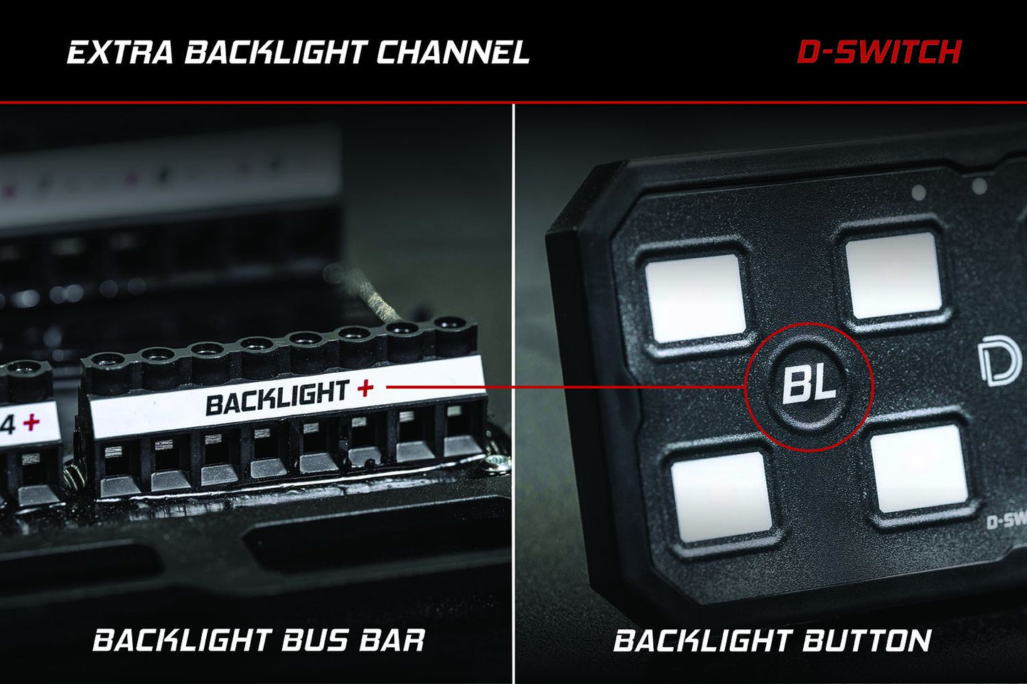 +2024 Tacoma/4Runner Switch panel mount + Diode Dynamics D-Switch